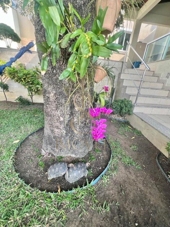 casa-venda-bairro-de-lourdes-vitoria-953131